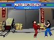 Super Bojovník (SuperFighter)