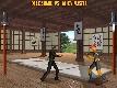Bushido Fighters