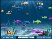Ryba Frankie (Franky the Fish)